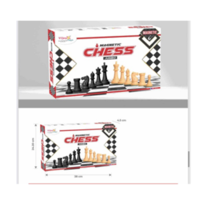 Magnetic Chess